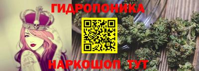 метадон Бердск